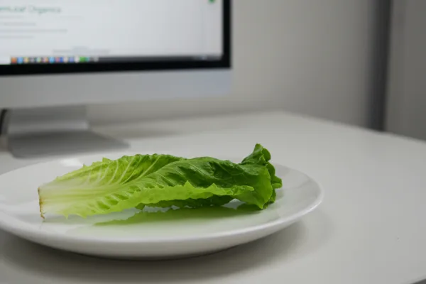 GreenLeaf Organics: Why Google Ignores Content